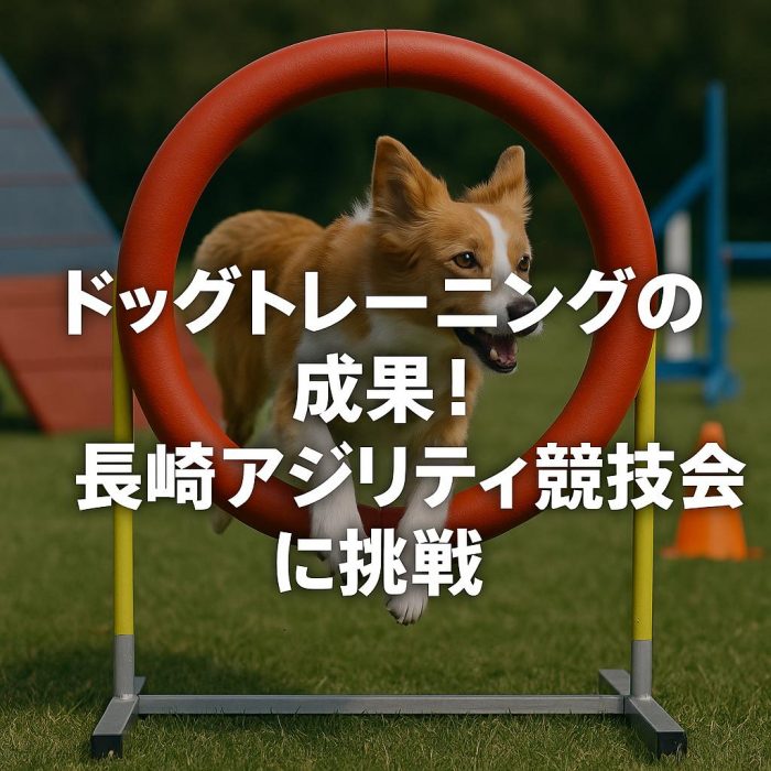 ドッグトレーニングの成果！長崎アジリティ競技会に挑戦