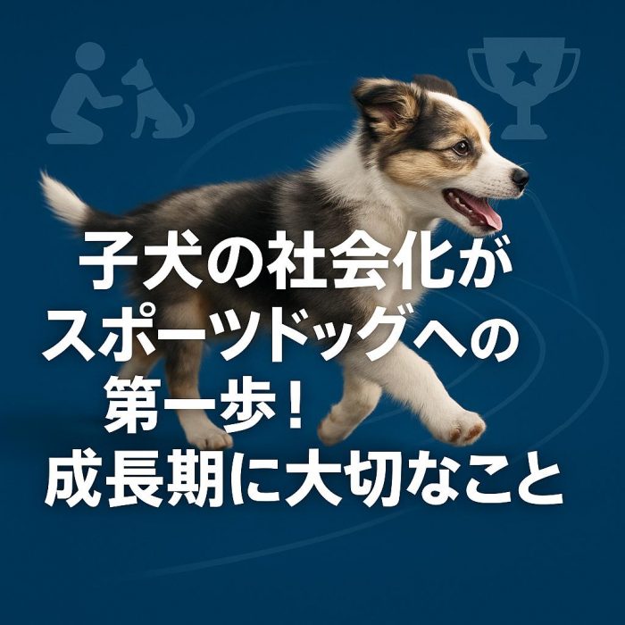 子犬の社会化がスポーツドッグへの第一歩！成長期に大切なこと